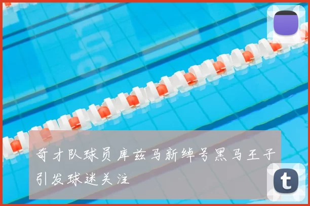 奇才队球员库兹马新绰号黑马王子引发球迷关注
