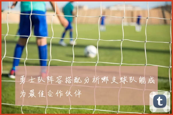 勇士队阵容搭配分析哪支球队能成为最佳合作伙伴