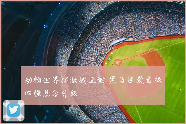动物世界杯激战正酣 黑马逆袭晋级四强悬念升级