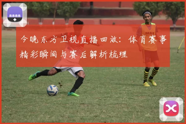今晚东方卫视直播回放：体育赛事精彩瞬间与赛后解析梳理